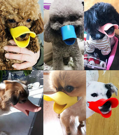 Small Dog Anti-Bark Muzzle