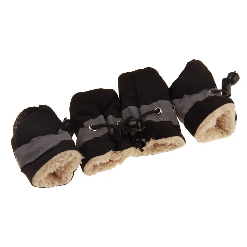 Stylish Dog Shoes