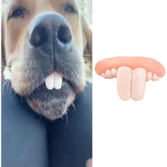 Fake Dog Teeth White Fake Teeth Fake Teeth for DogsDog ToysFunny Dog Teeth Braces Dog Christmas Costume Suitable Dog Chew Toys Pet Supplies Fake Teet Buck Teeth for Dogs