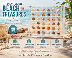 36 Grids Clear Acrylic Seashell Display Box Seashell Storage Display Container Organizer Display Without Seashell