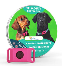 Flea & Tick Collar for Dogs