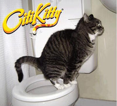 Cat Toilet Training Device