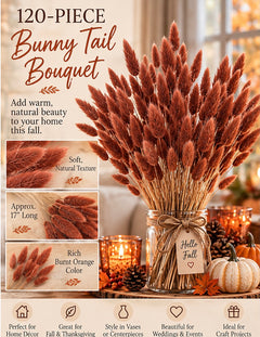 120-Piece Burnt Orange Bunny Tail Bouquet | Fall Dried Flowers