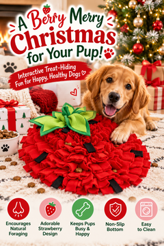 Strawberry Snuffle Mat for Dogs – Interactive Treat-Hiding Puzzle Toy