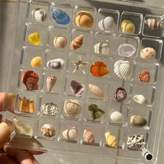 36-Grids Acrylic Seashell Display Box Durable Starfishs Trinket Storage Case For Bead Nail Jewelry Chic Gife