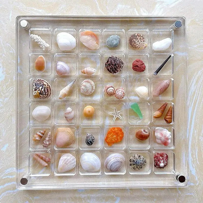 36 Grids Clear Acrylic Seashell Display Box Seashell Storage Display Container Organizer Display Without Seashell