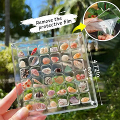 Acrylic Magnetic Seashell Display Box Seashell Storage Box Clear Acrylic Diamond Gemstone Beads Storage Display Organizer Box