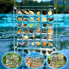 36-Grids Acrylic Seashell Display Box Durable Starfishs Trinket Storage Case For Bead Nail Jewelry Chic Gife