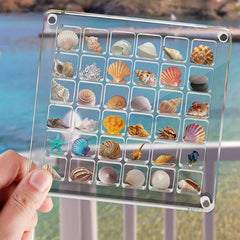 36-Grids Acrylic Seashell Display Box Durable Starfishs Trinket Storage Case For Bead Nail Jewelry Chic Gife