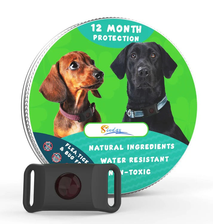Flea & Tick Collar for Dogs